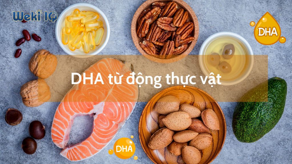 DHA Nhật Bảntừ động thực vật