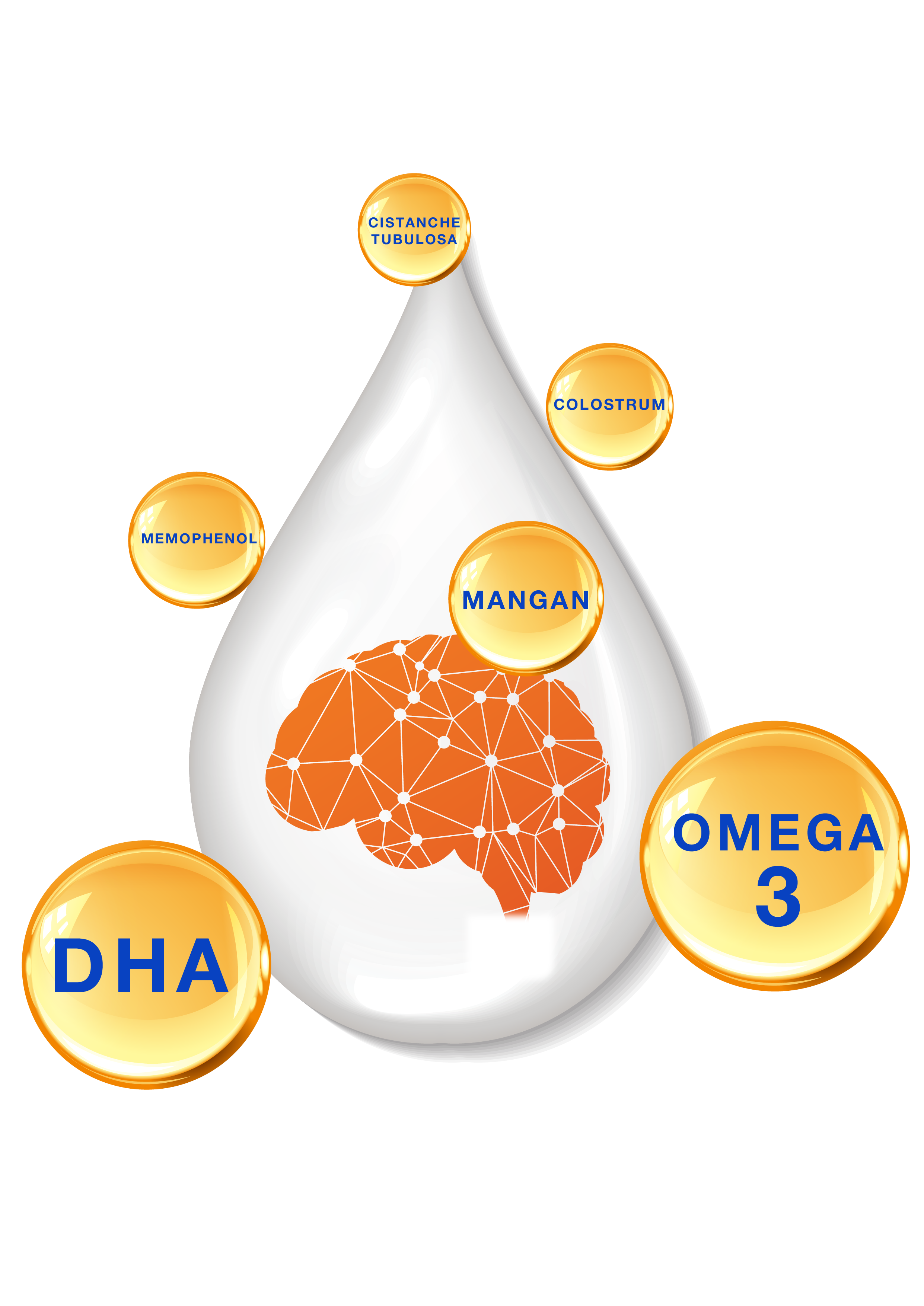 weki-iq-dha-omega3-mangan-memophenol-cistanche-tubulosa-colostrum