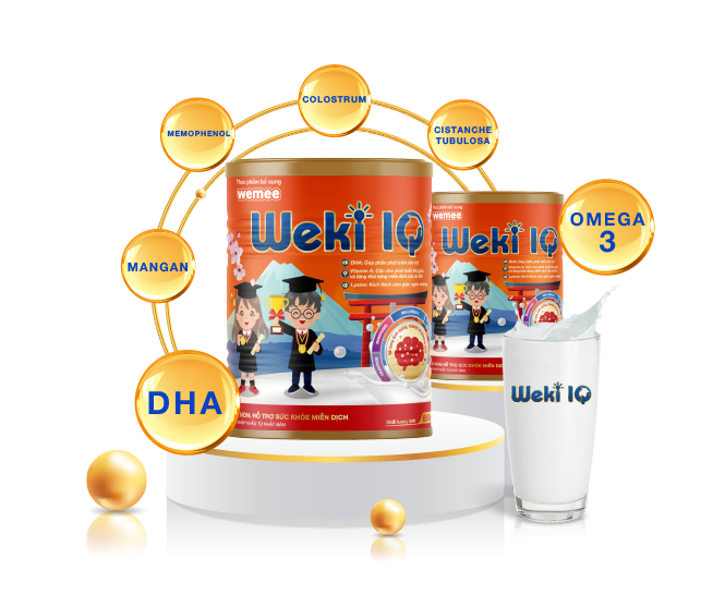 weki-iq-thanh-phan-hop-chat