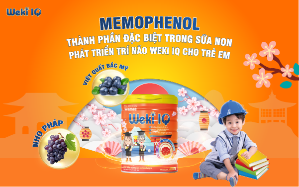 Memophenol – Thành phần đặc biệt trong sữa non phát triển trí não Weki IQ cho trẻ em